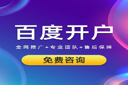 某电商平台的SEM竞价专员成功案例分享